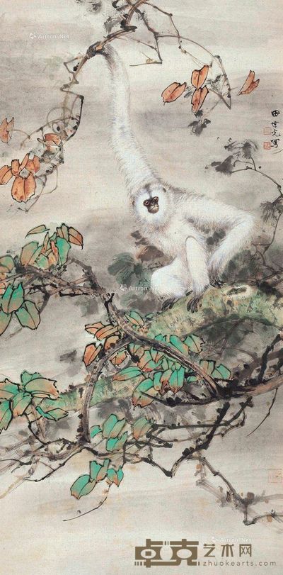 田世光 白猿 137×66cm
