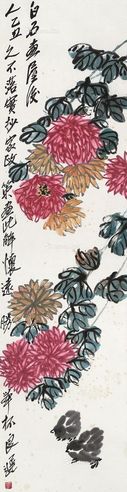 齐良迟 菊花小鸡