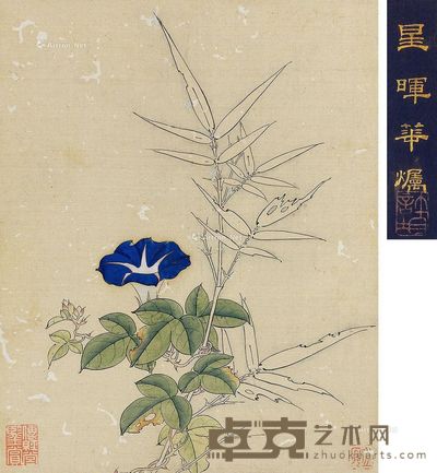 周之冕 花卉 24×19cm