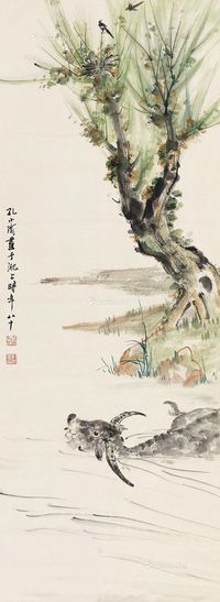 孔小瑜 水牛