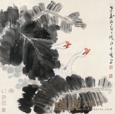 郑乃珖 蕉叶双鹅 66×67cm