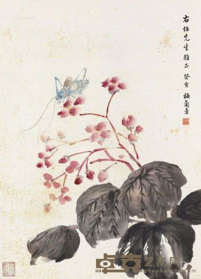 梅兰芳 草虫图 43×31cm