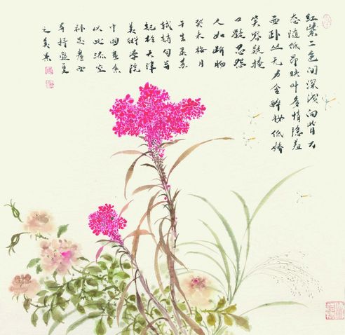 周午生 鸡冠花