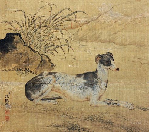 沈振麟 卧犬图