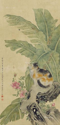 魏云机 芭蕉小猫