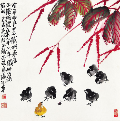 齐良迟  小鸡