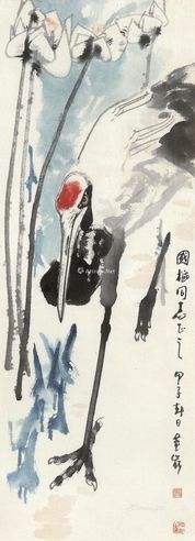 王金岭 仙鹤