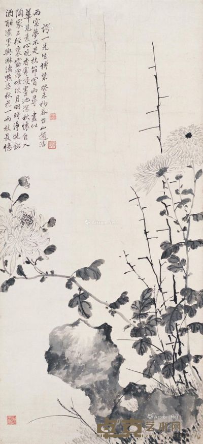赵浩公 菊石图 80×38cm