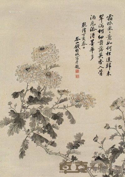 钱维城 菊花满果 55×39cm