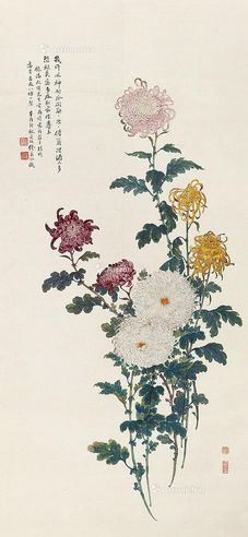 缪莆孙 秋菊