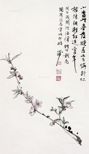 吴灏 花卉