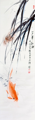 胡志辉 芦苇红鲤