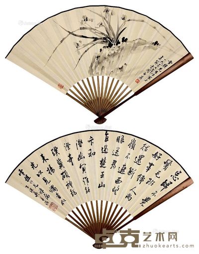 白蕉成扇 48×18cm