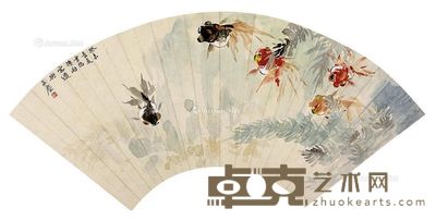 汪亚尘金鱼 49×18.5cm