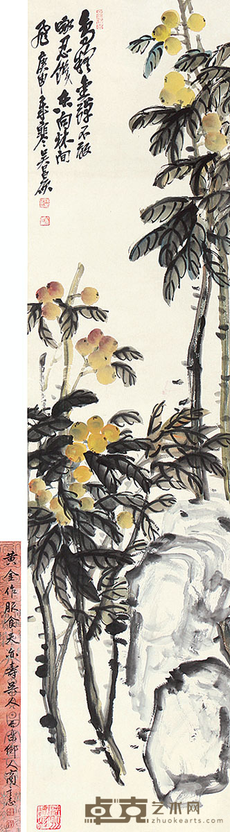 吴昌硕 枇杷 135×33