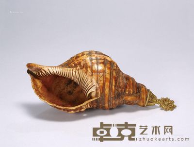清 右旋法螺 长25cm