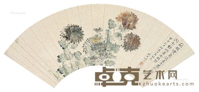 杨旭 菊花图 16×49cm