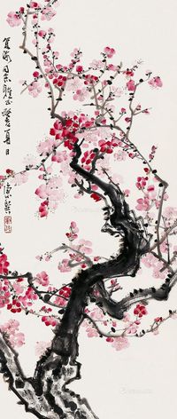 康师尧 梅花