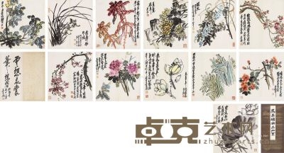 吴昌硕 花卉 40×36cm×12