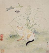 文淑 猫