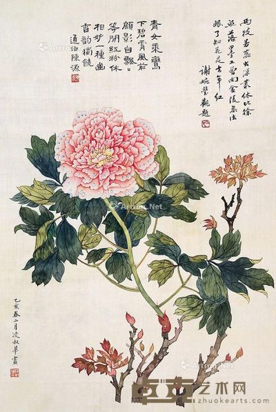 凌淑华 牡丹 48×33cm