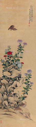 林嘉 菊石图