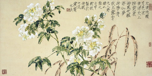 何水法 芙蓉舒妍