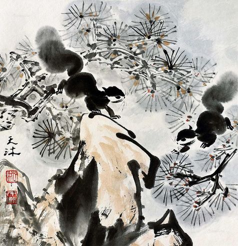 姚天沐 松鼠