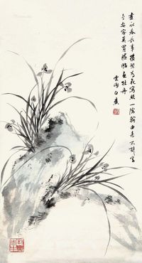 白蕉 兰花