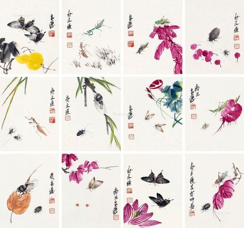 齐良迟 花鸟草虫