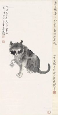 张善孖 猫