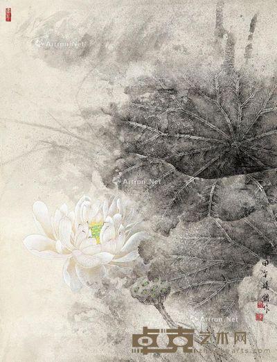 杨钢 禅·荷(一) 50×42cm
