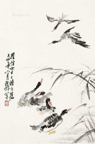 刘既明 芦雁