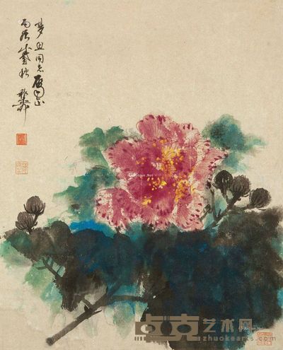 谢稚柳 芙蓉 49×39.5cm