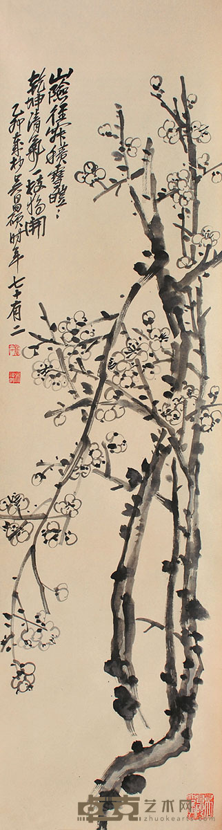 吴昌硕 墨梅 127×34cm