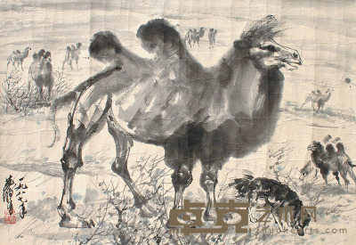 黄胄 骆驼 47×68cm