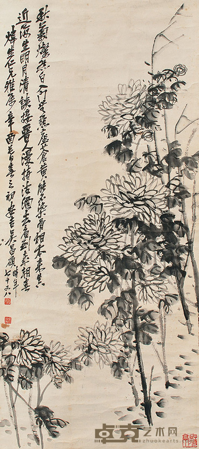 吴昌硕 菊花 113×50cm