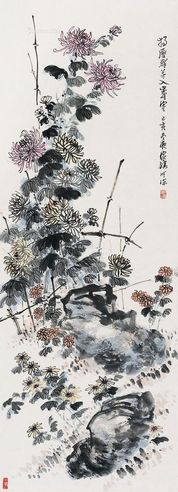 郑家镇 篱菊