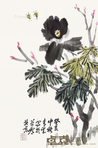 田零牡丹蜜蜂 69×46cm