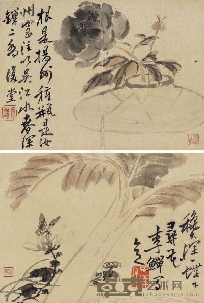 李鱓花卉虫草（二帧） 20×30cm×2