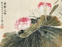 吴湖帆1944年作 蒂芙蓉