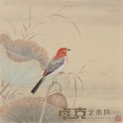 杨立奇花鸟 40×40cm