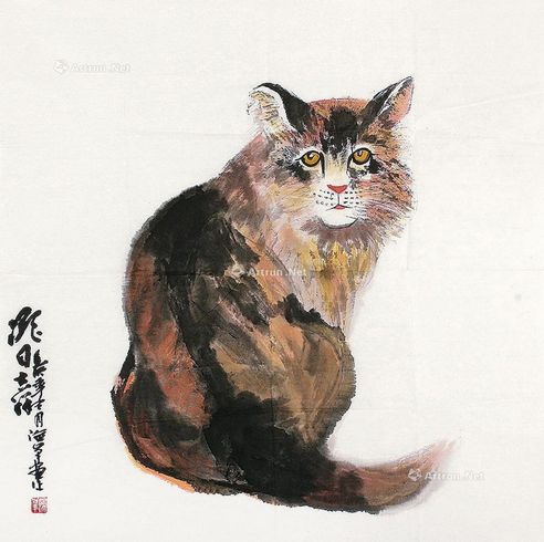 余险峰 猫