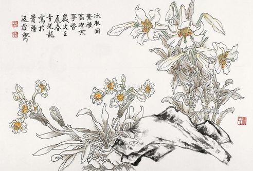 方纪龙 水仙花