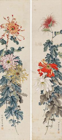 缪嘉惠菊花