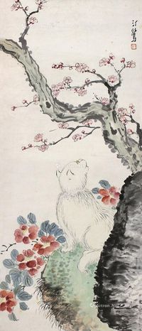 胡汀鹭猫