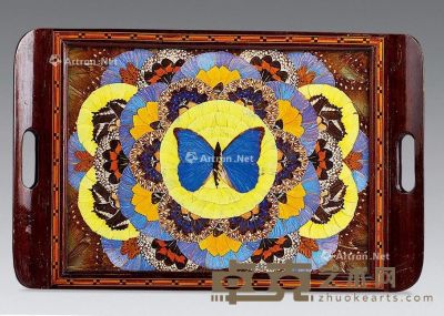 20世纪 蝴蝶标本托盘 长52×宽34cm
