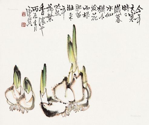 康师尧 水仙