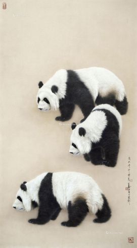 王申勇  熊猫