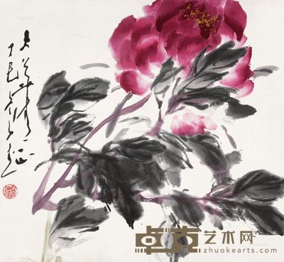 王子武 牡丹 38×41.5cm